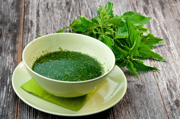 Infusione di foglie di ortica - rimedio popolare per il diabete